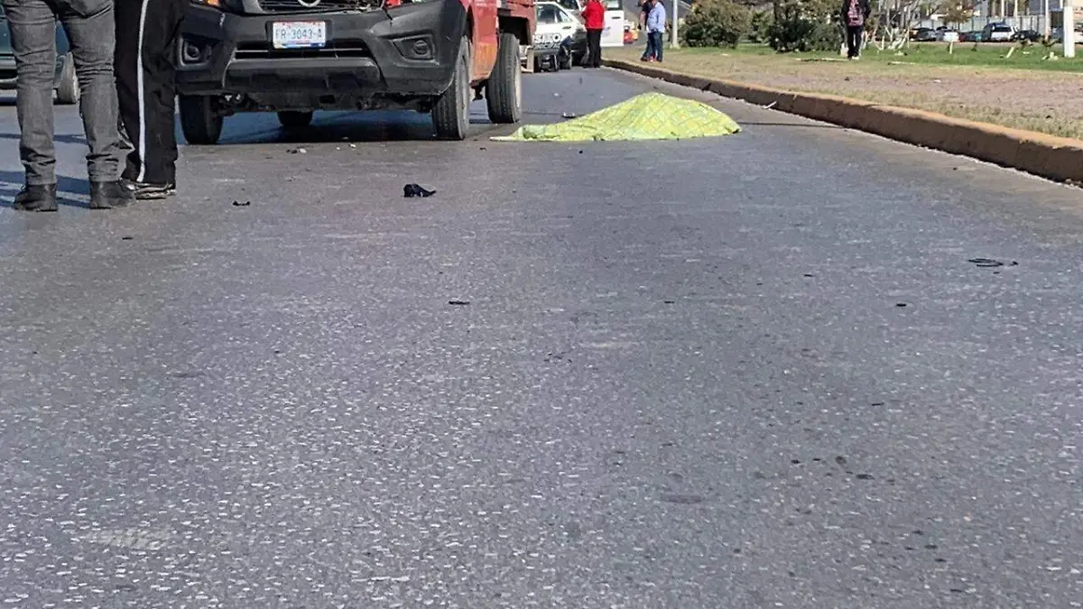 WhatsApp Image 2020-02-14 at 12.19.42 PM