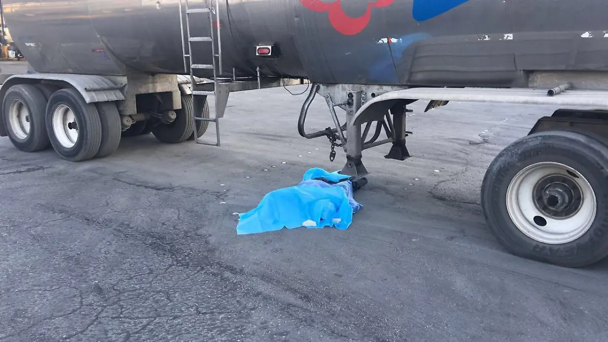 WhatsApp Image 2018-07-30 at 10.05