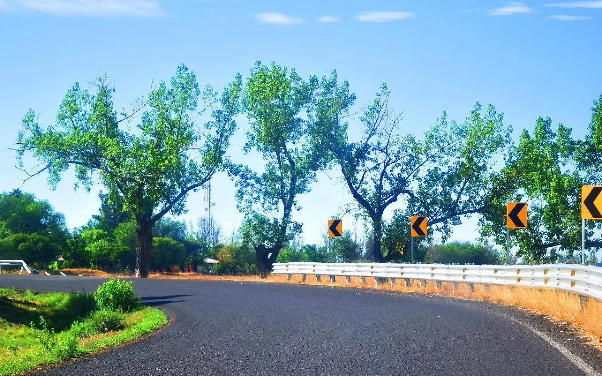 WhatsApp Image 2022-02-24 at 08.57.41