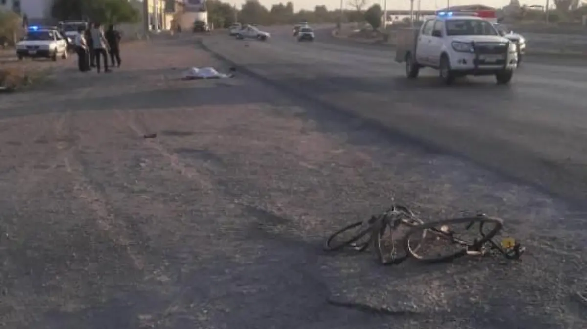 WhatsApp Image 2018-06-10 at 11.55