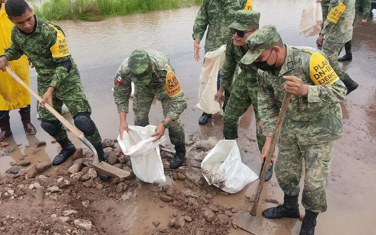 WhatsApp Image 2022-09-06 at 3.34.58 PM (1)