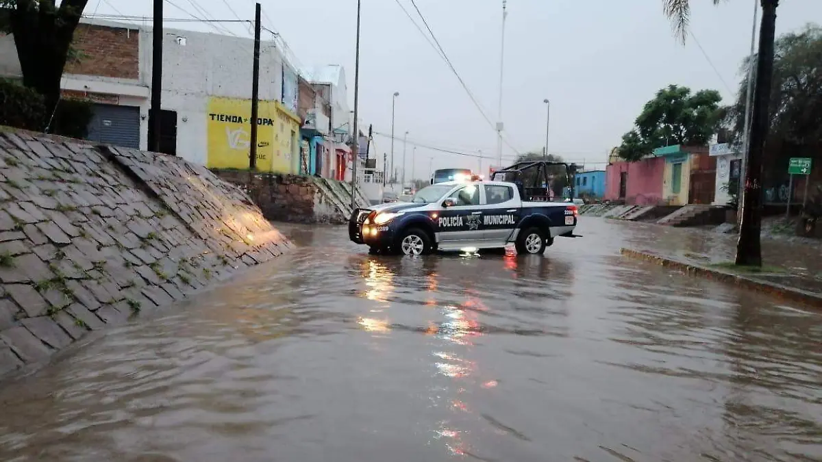 WhatsApp Image 2020-07-27 at 8.48.46 PM