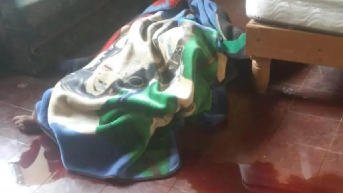 WhatsApp Image 2018-06-14 at 8.00