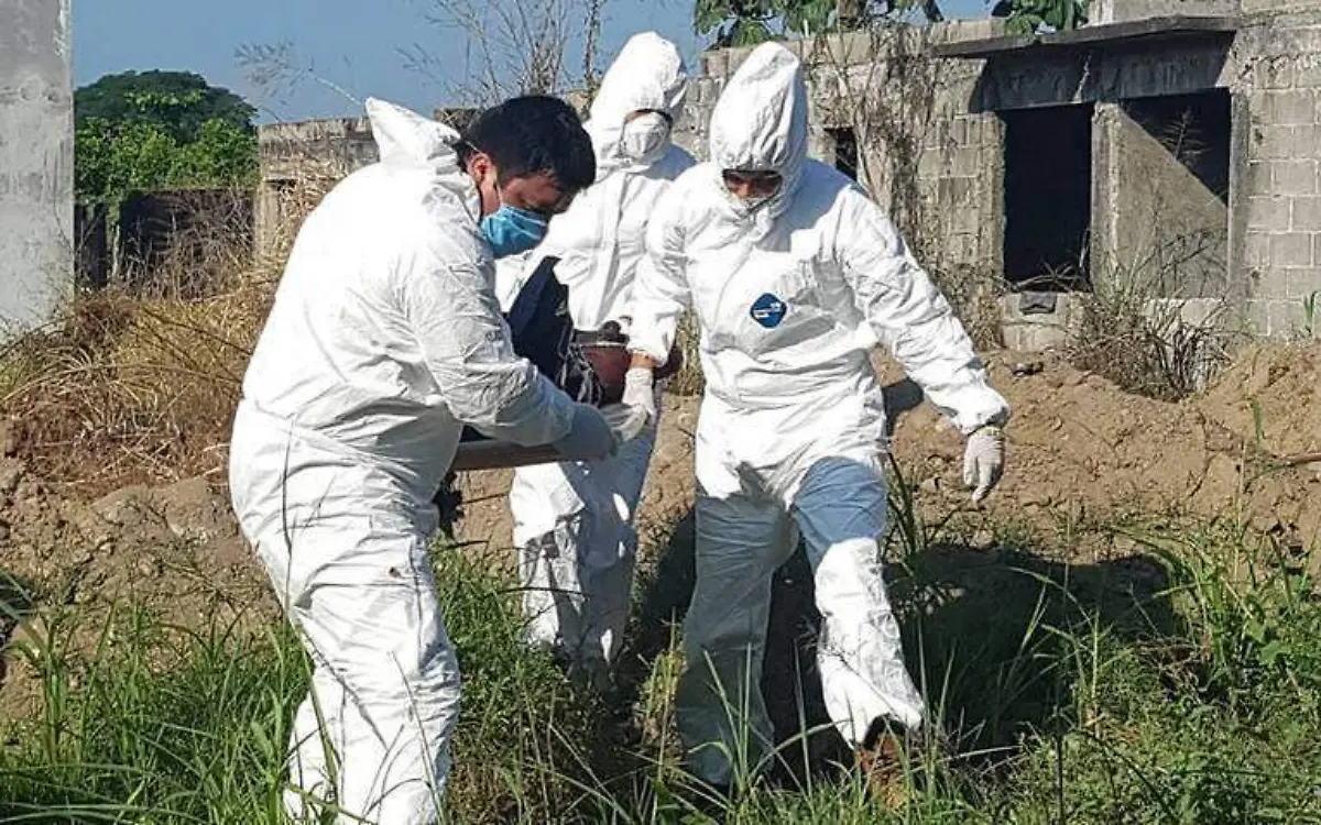 Elementos de la Semefo