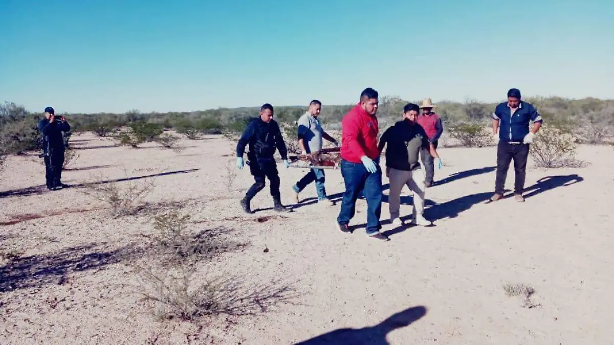 ENCONTRADA MUERTA ---principal