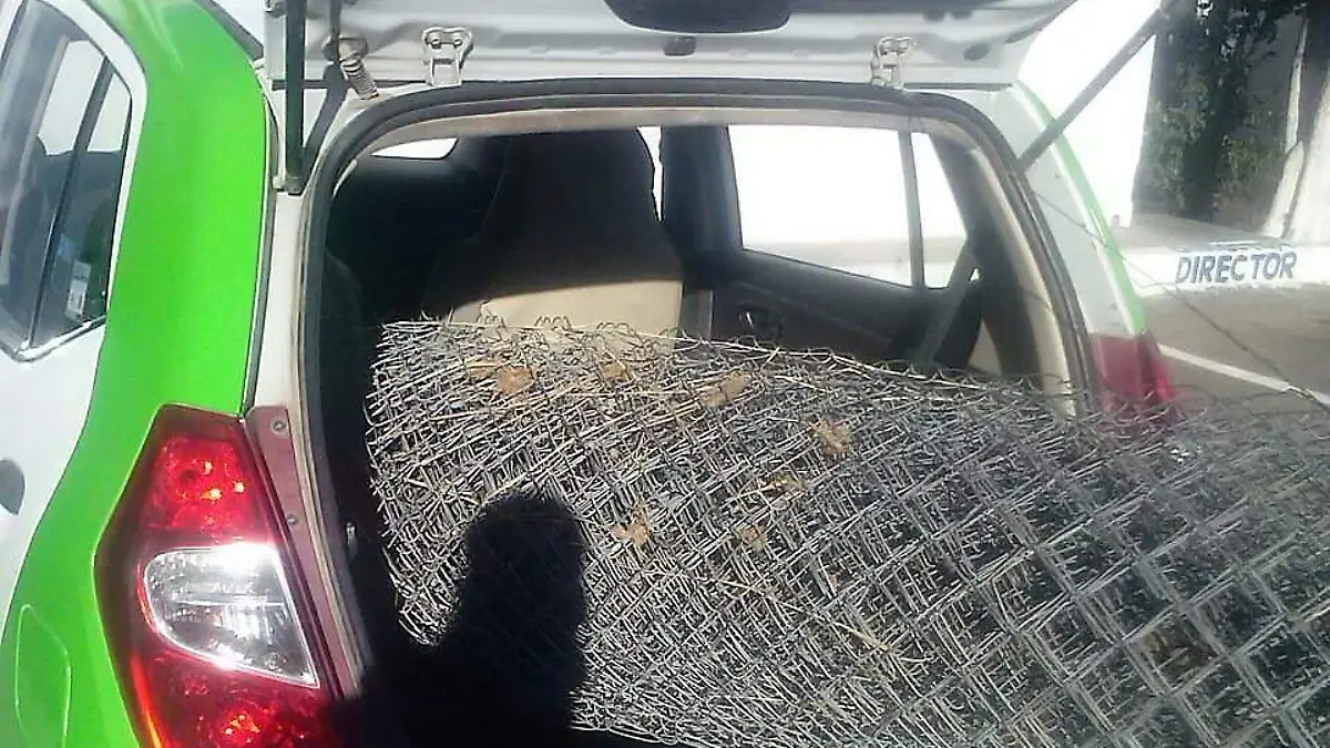 1303 Roban jardín de niños2