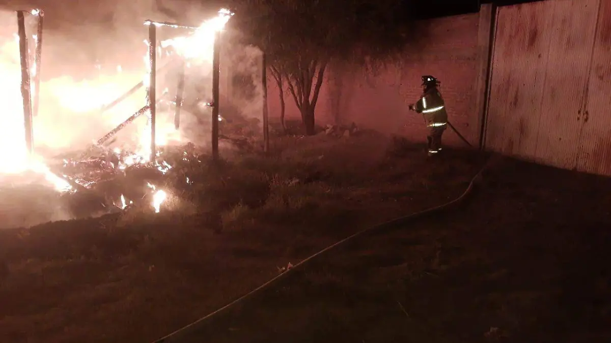 WhatsApp Image 2021-11-04 at 8.09.31 PM