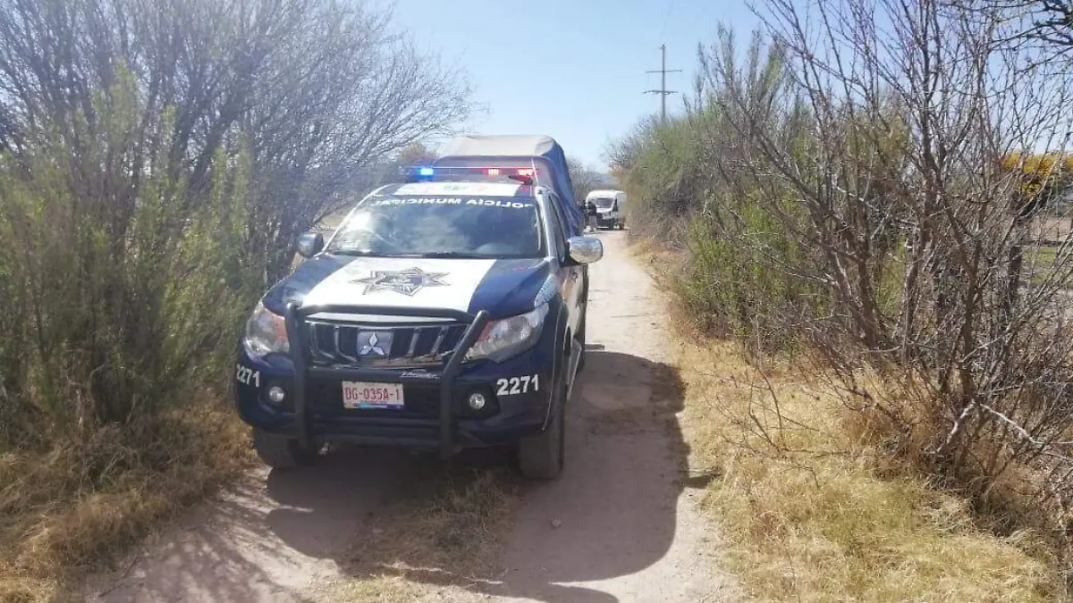 WhatsApp Image 2019-02-26 at 2.57.41 PM