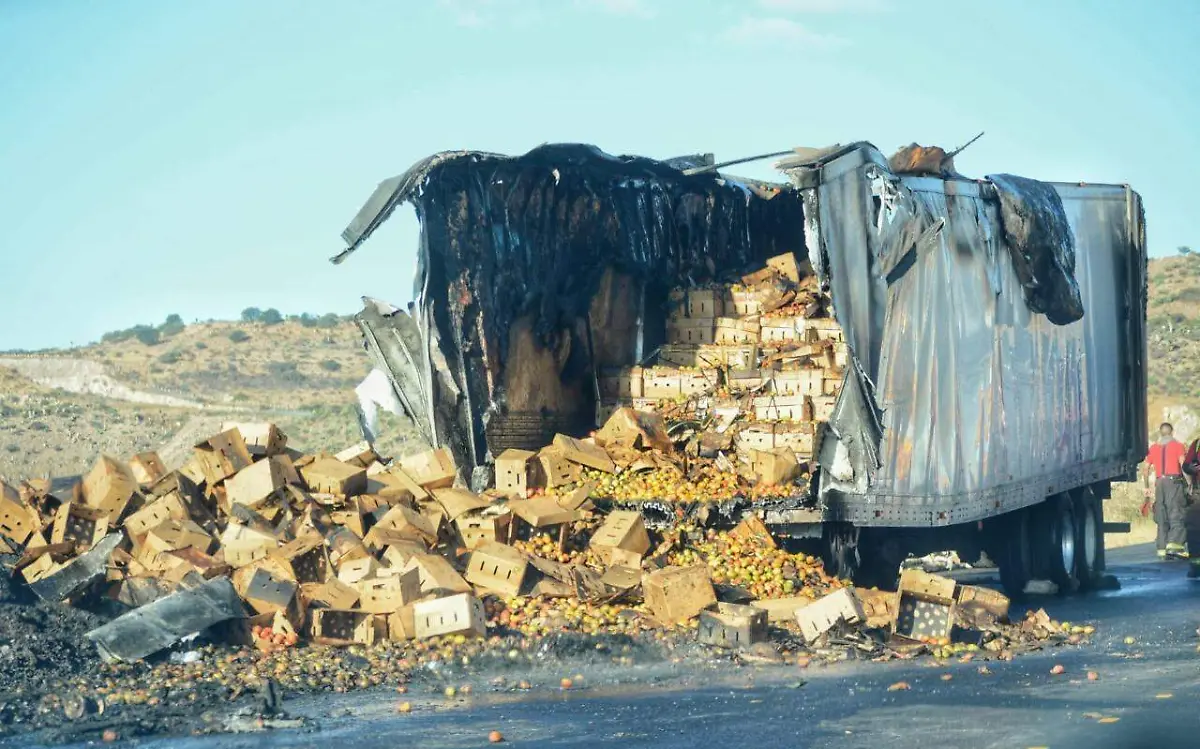 WhatsApp Image 2022-02-04 at 16.32.01