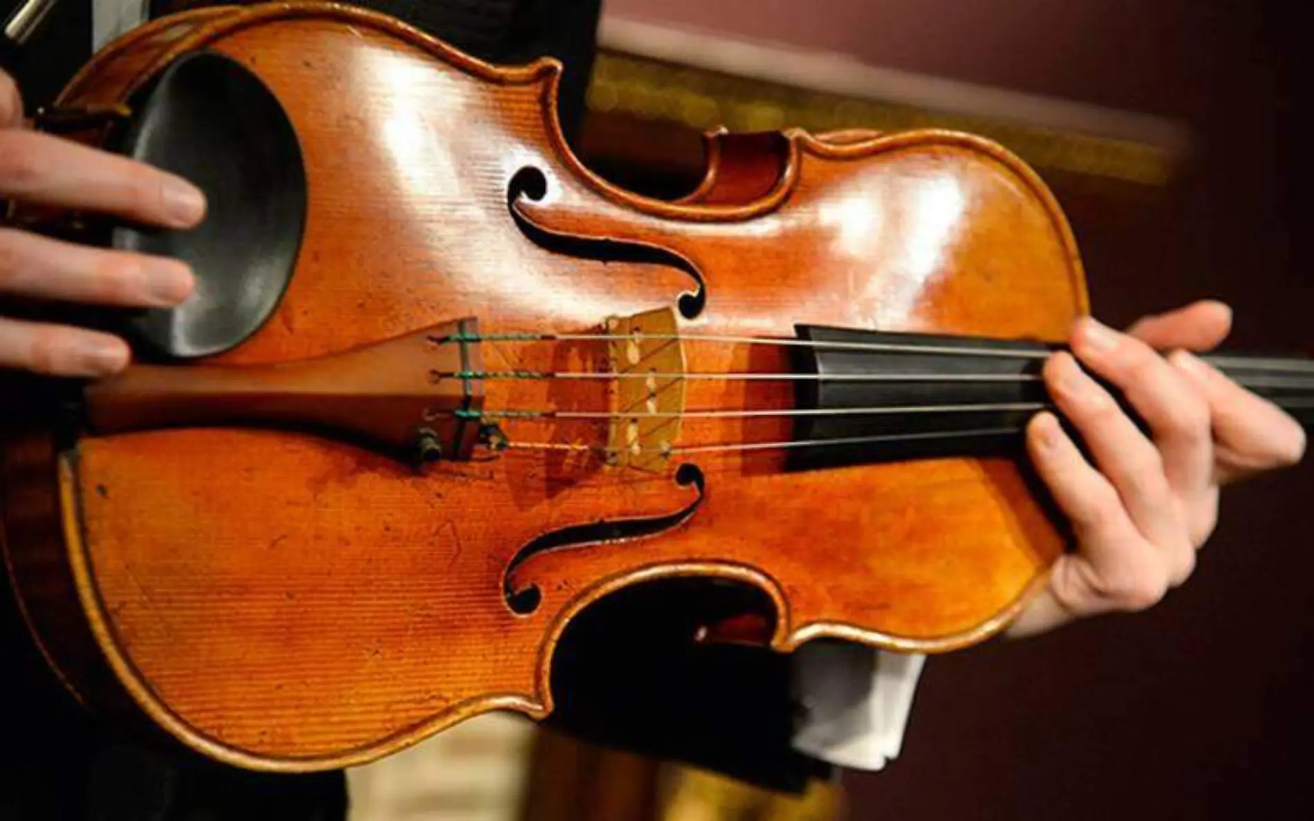 Violin