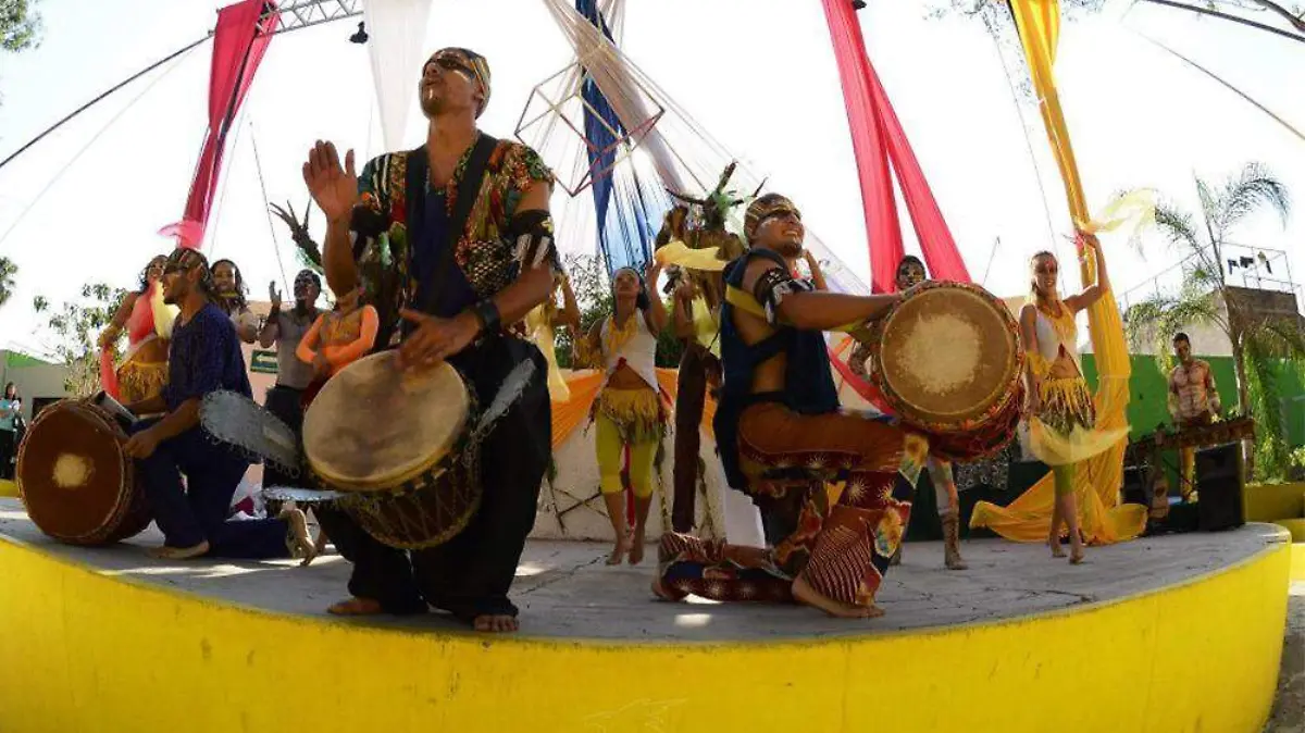 WhatsApp Image 2019-03-16 at 1.57.29 PM