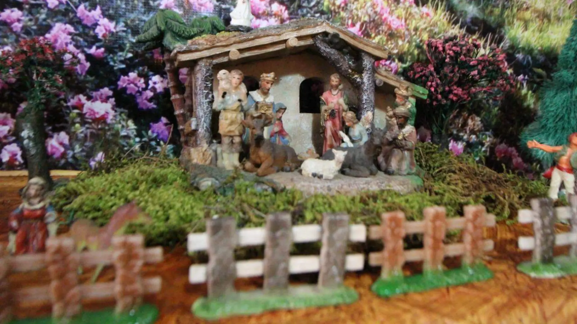 Nacimiento