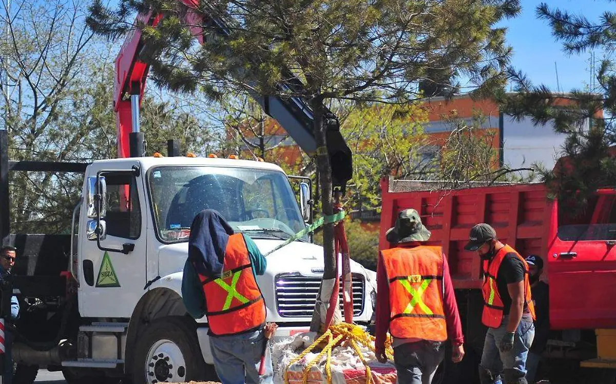 WhatsApp Image 2021-04-26 at 15.59.57