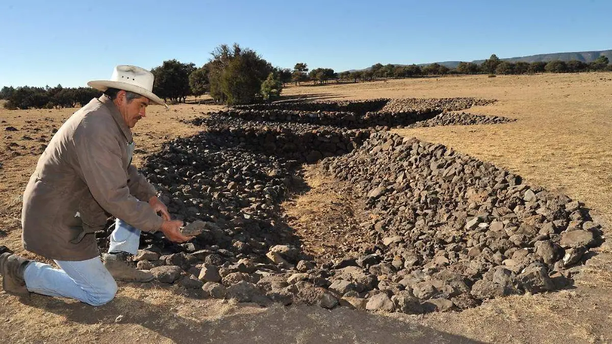 WhatsApp Image 2021-05-29 at 5.30.43 PM