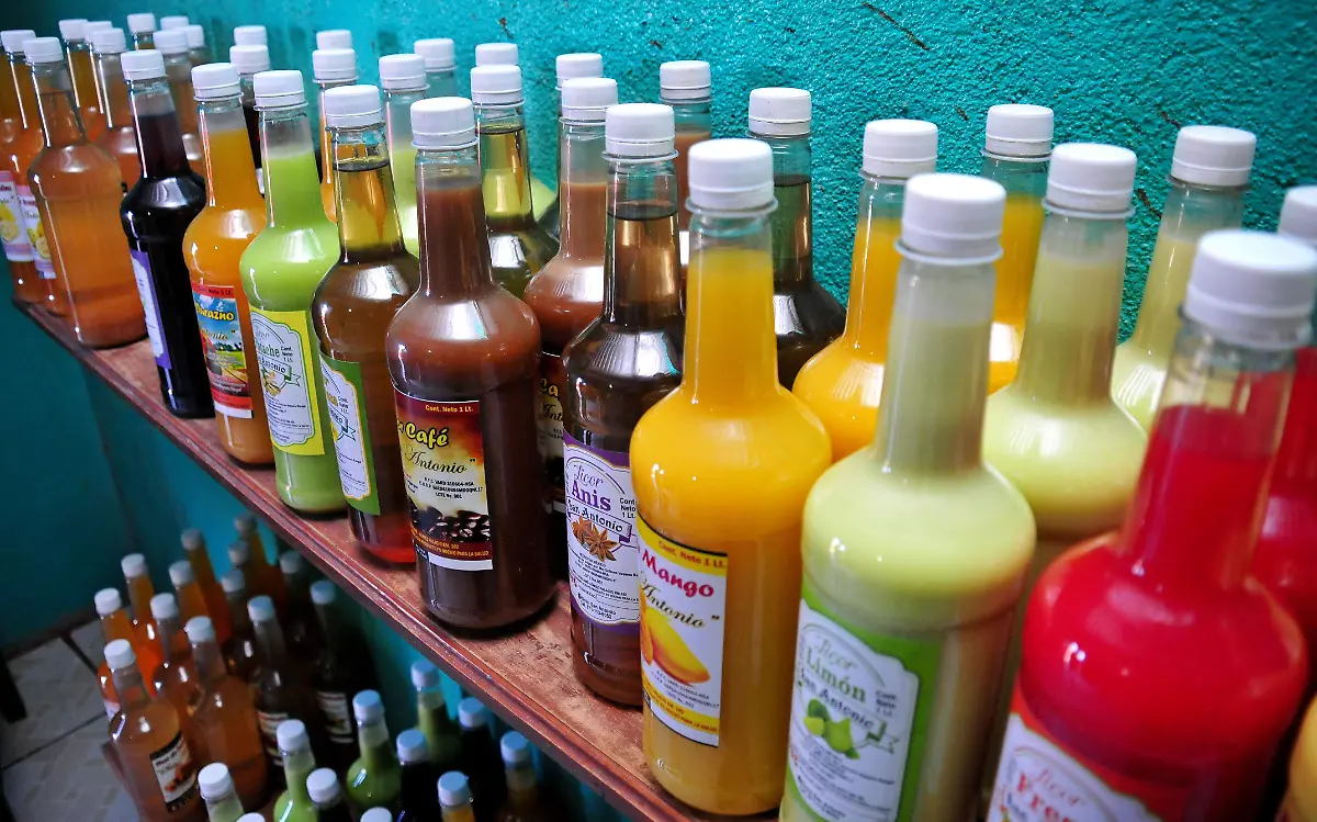 Sotol, el espíritu del desierto