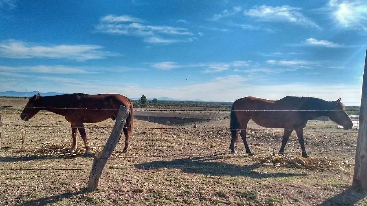 WhatsApp Image 2020-10-27 at 7.00.54 PM