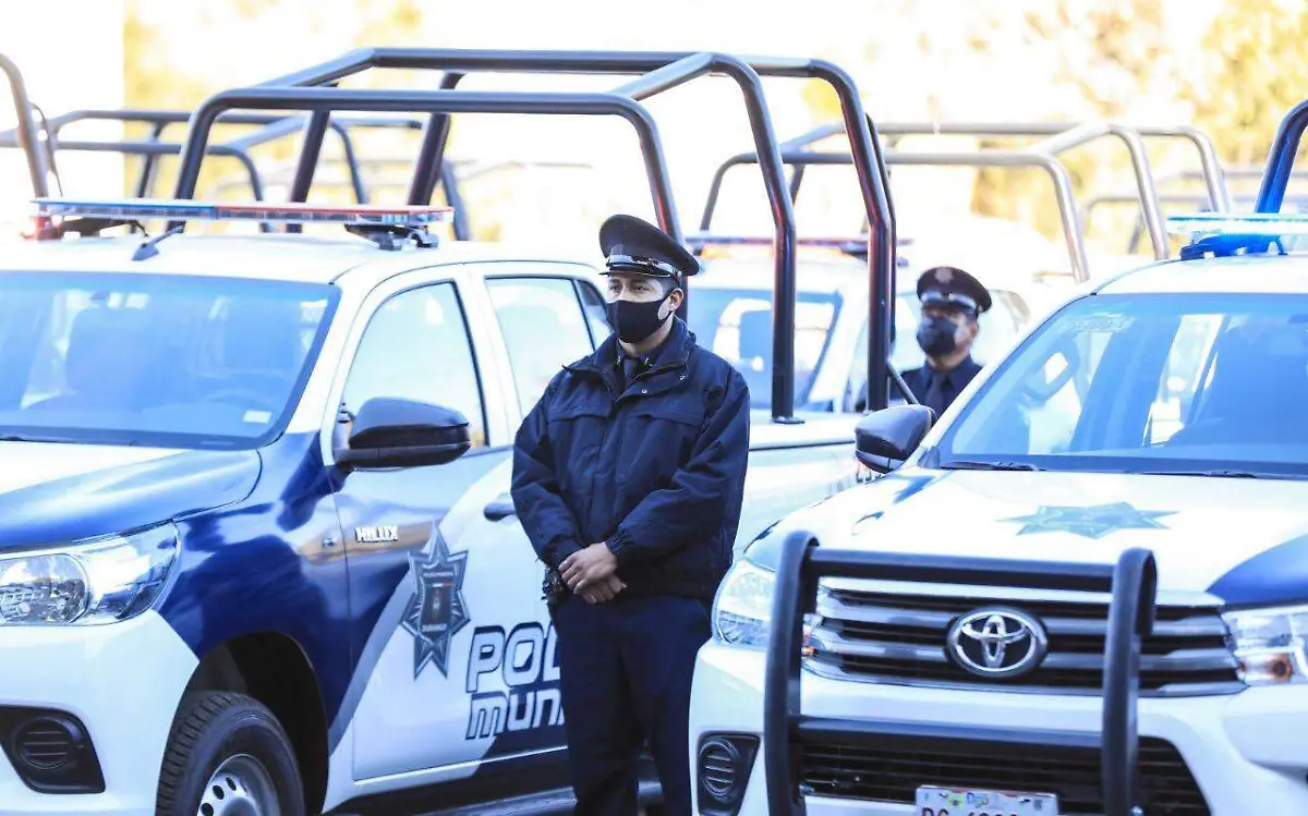 WhatsApp Image 2020-12-14 at 13.23.40