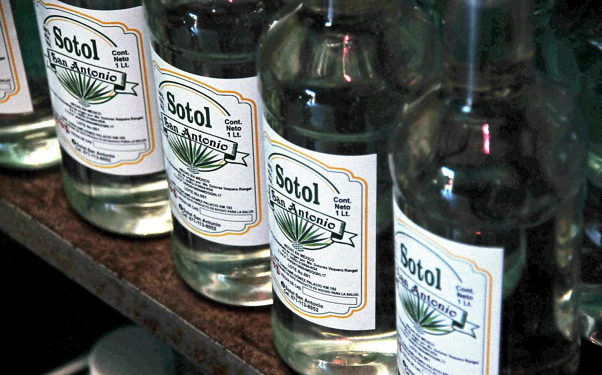 Sotol, el espíritu del desierto