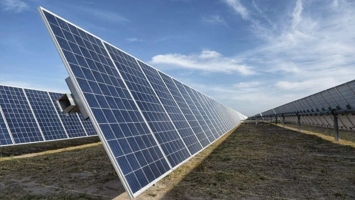 WhatsApp Image 2021-02-12 at 3.14.01 PM