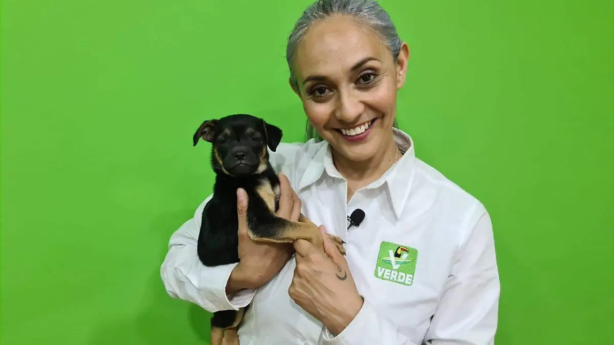 WhatsApp Image 2021-04-22 at 1.31.48 PM