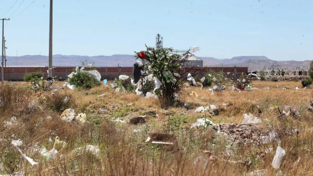 Basura 2