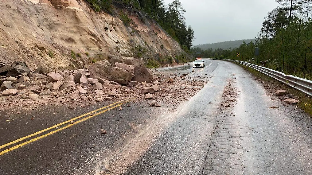 WhatsApp Image 2021-10-13 at 11.26.14 AM (1)