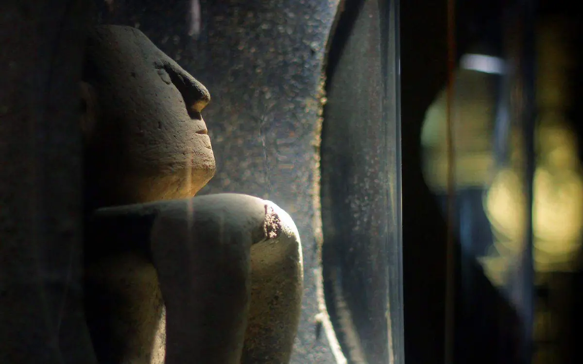 WhatsApp Image 2023-07-17 at 1.47.08 PM (1)