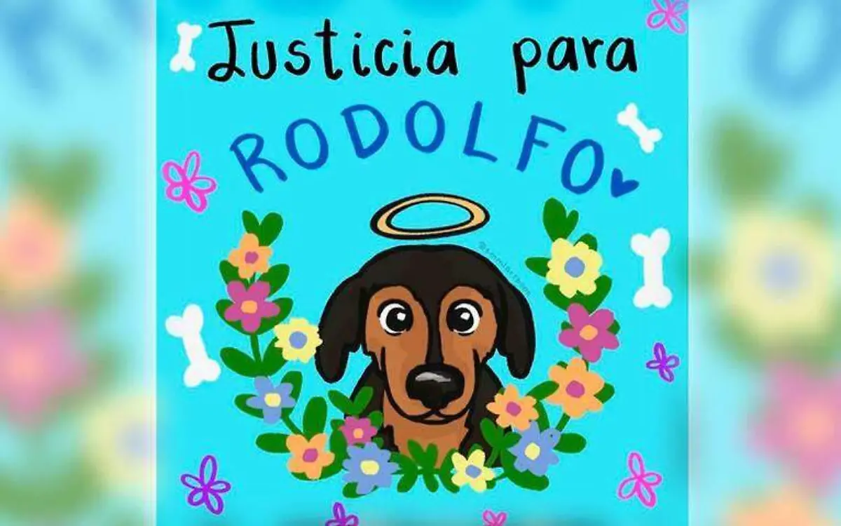 Justicia-para-rodolfo