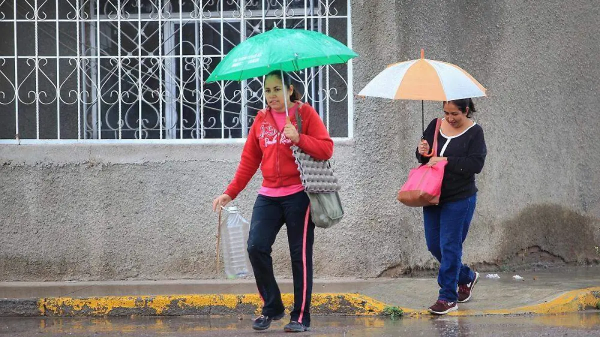 WhatsApp Image 2021-05-15 at 1.31.34 PM (1)