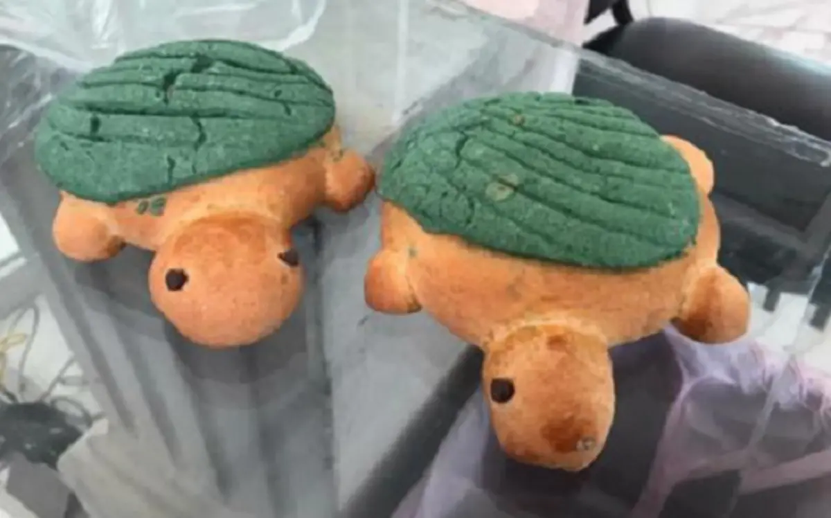 Tortuconchas