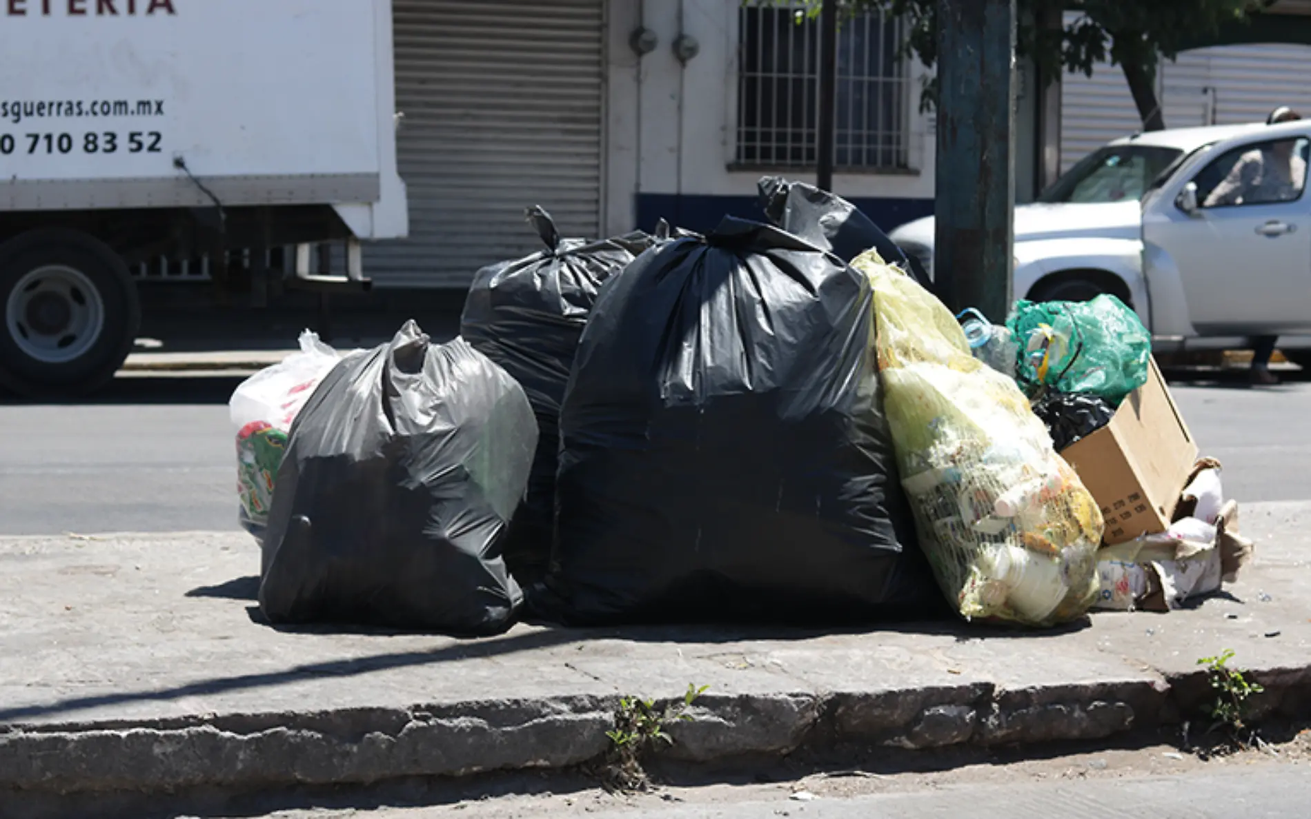 Bolsas-de-basura-LM