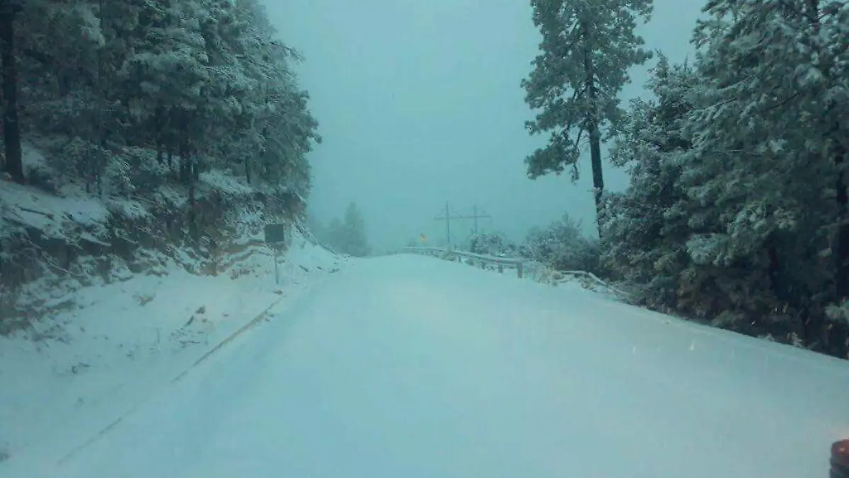 WhatsApp Image 2019-02-21 at 2.48.21 PM