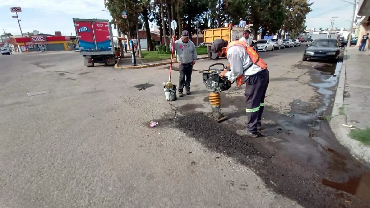 baches