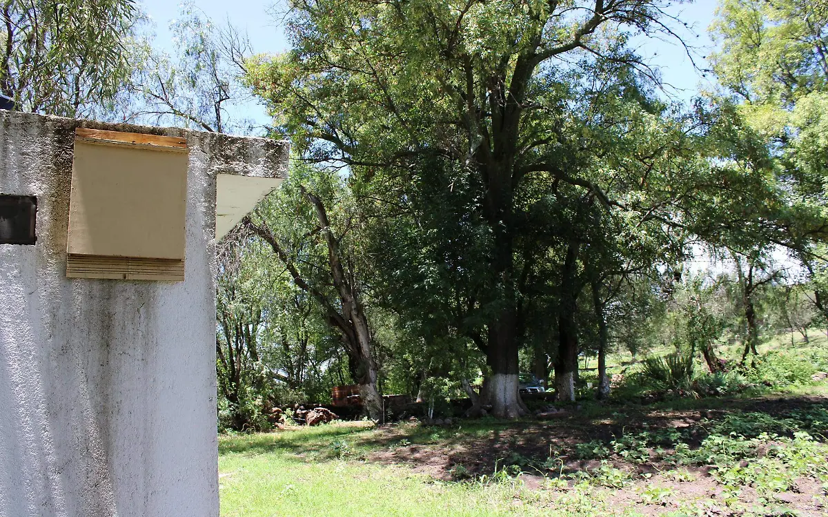 Casas para murciélagos 