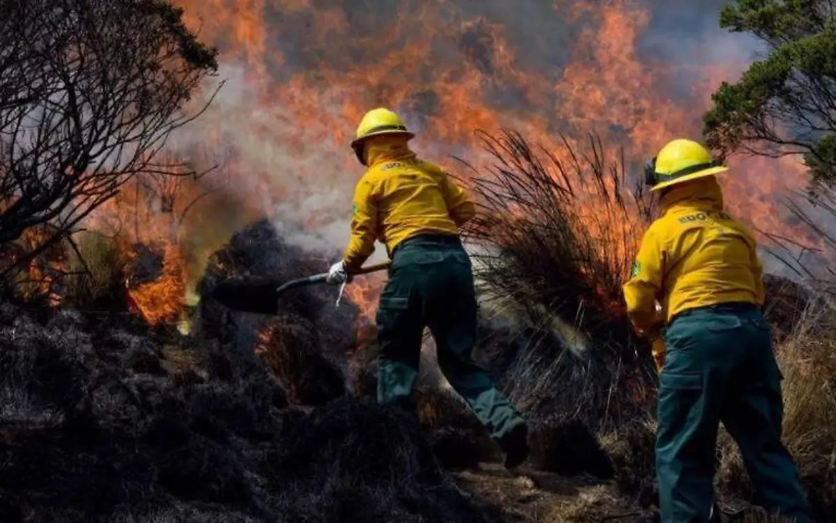 incendios