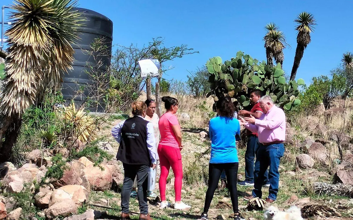 WhatsApp Image 2023-07-31 at 12.45.43