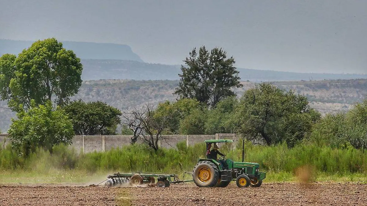 WhatsApp Image 2023-07-12 at 2.01.38 PM