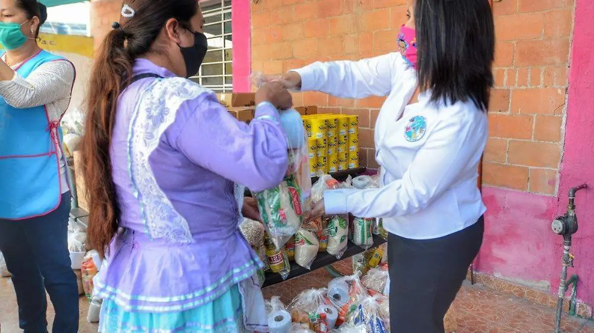 apoyo fundación semilla