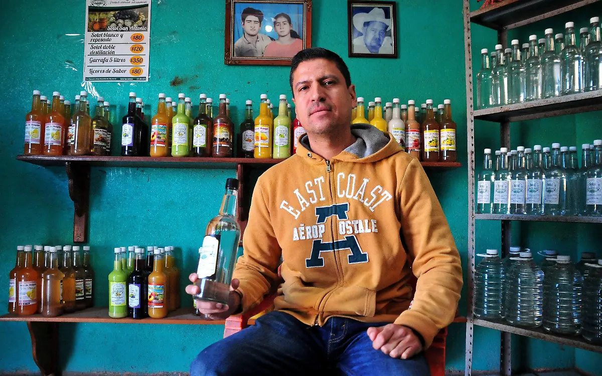 Sotol, el espíritu del desierto