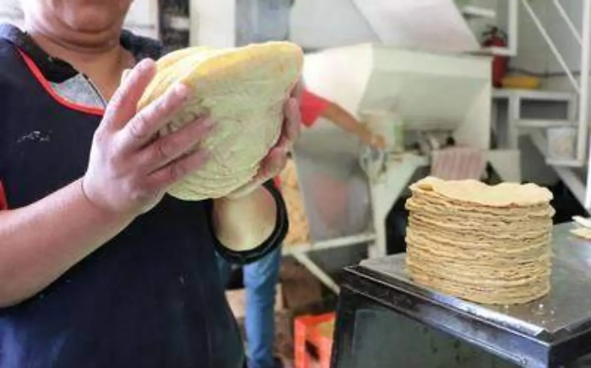 tortilla