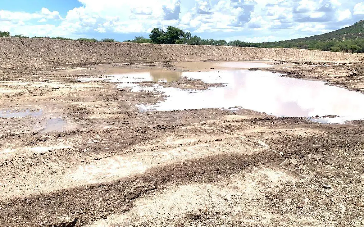 Administración municipal de Durango ha construido 100 bordos de abrevadero