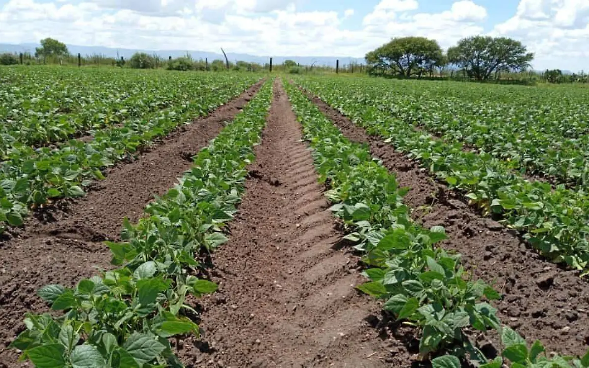 WhatsApp Image 2020-10-30 at 16.54.35