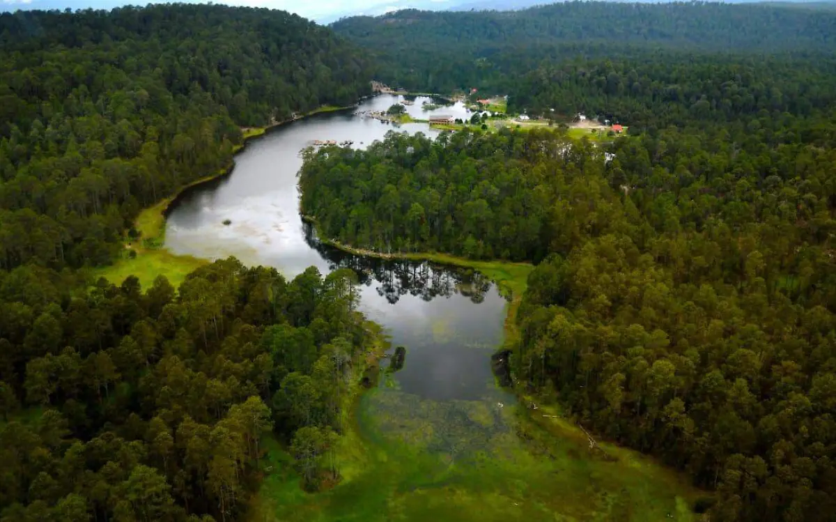 Zona sierra del estado de Durango