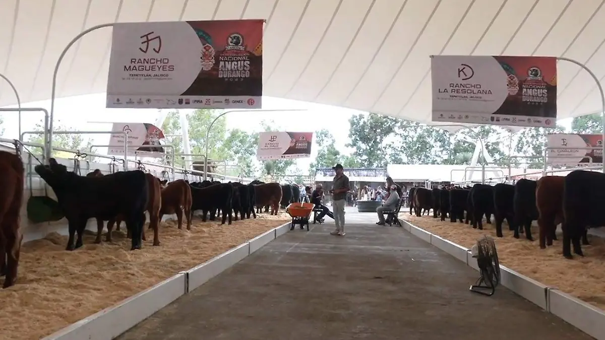 Invita Marisol Rosso a la Subasta Ganadera con Valor y Corazón 