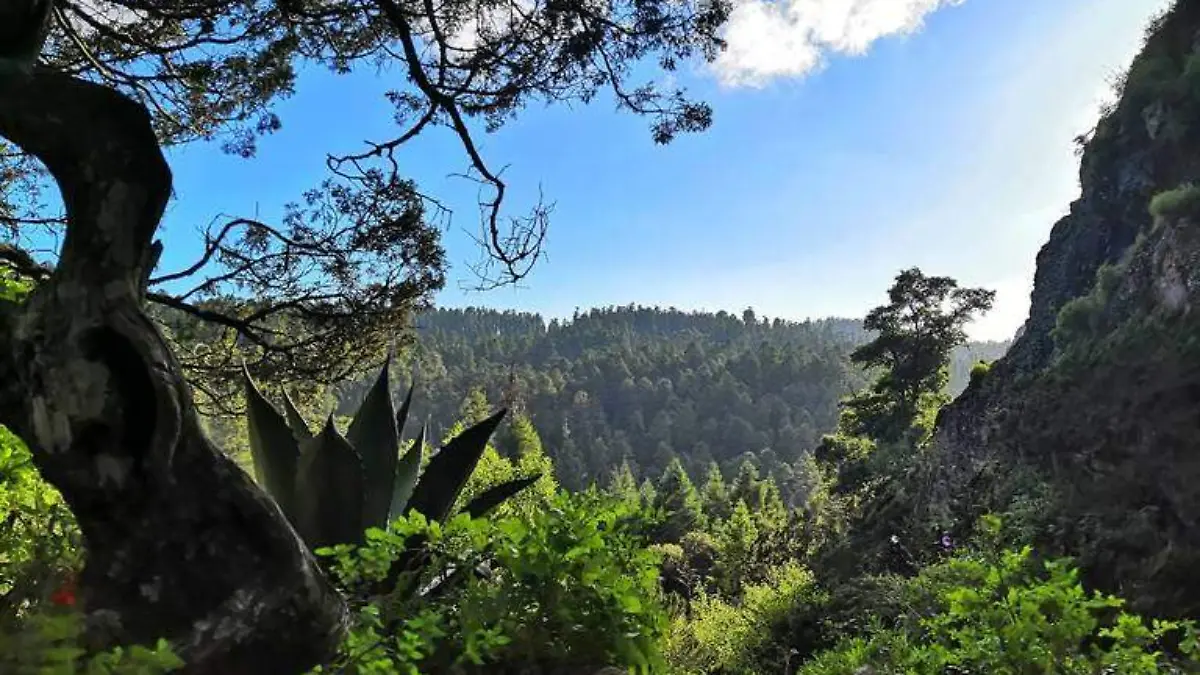 Seis por ciento de territorio hidalguense es Área Natural Protegida