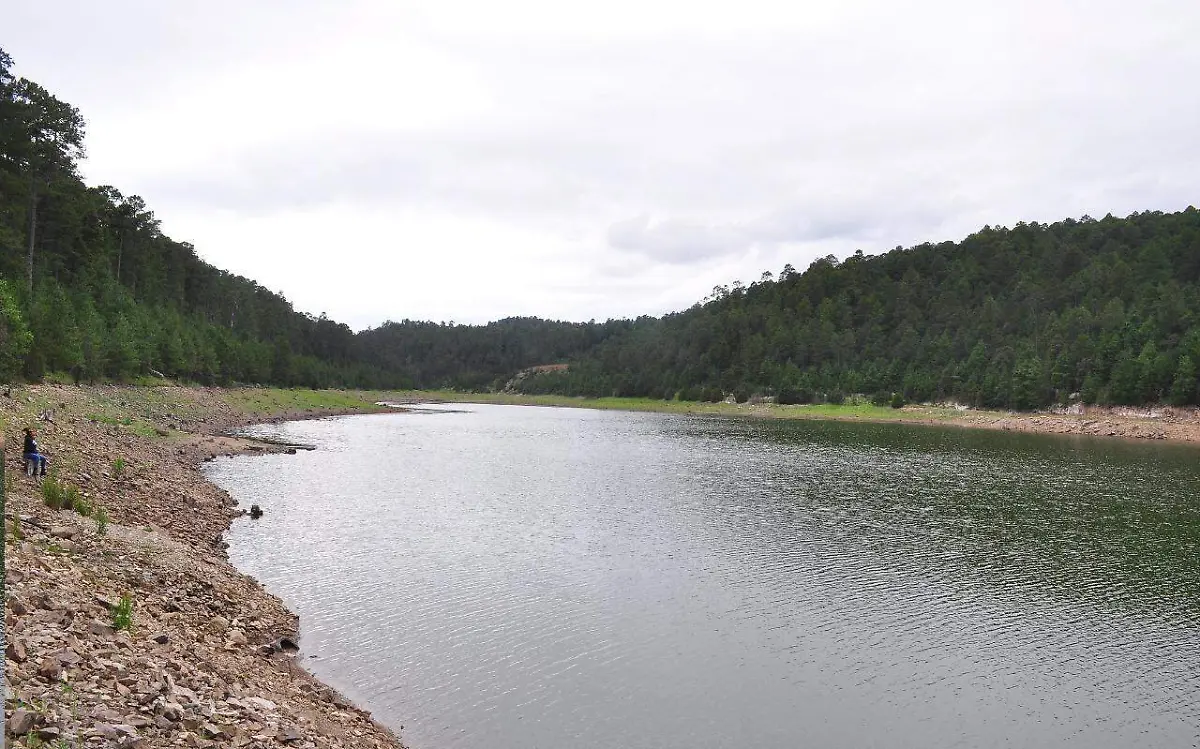 WhatsApp Image 2021-01-02 at 16.16.35