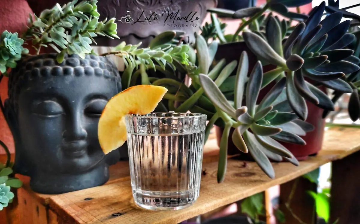 Mezcal producido en Durango