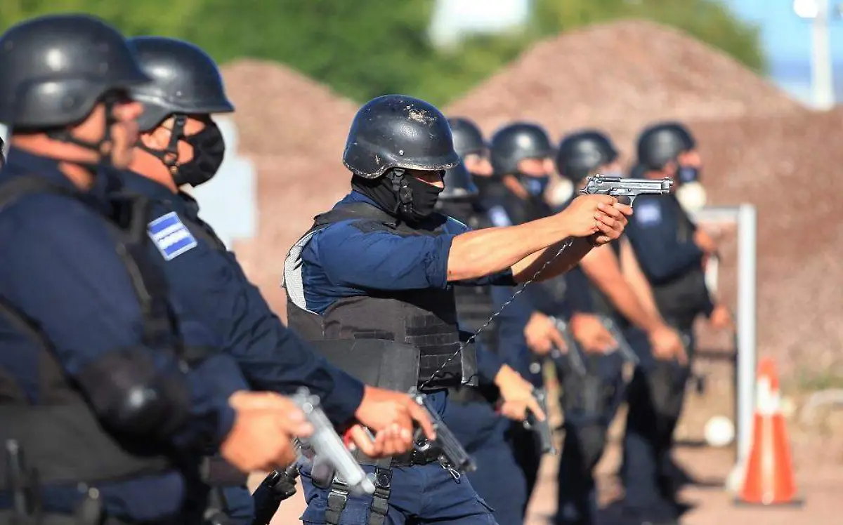 WhatsApp Image 2020-09-17 at 13.46.34