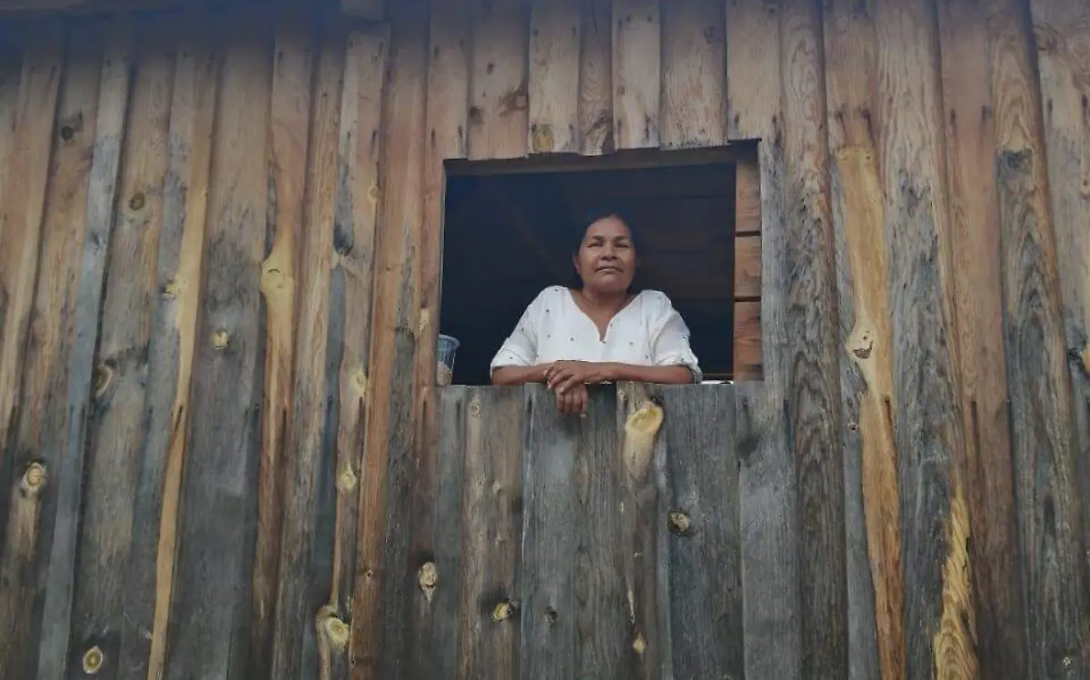 Virginia Flores Flores