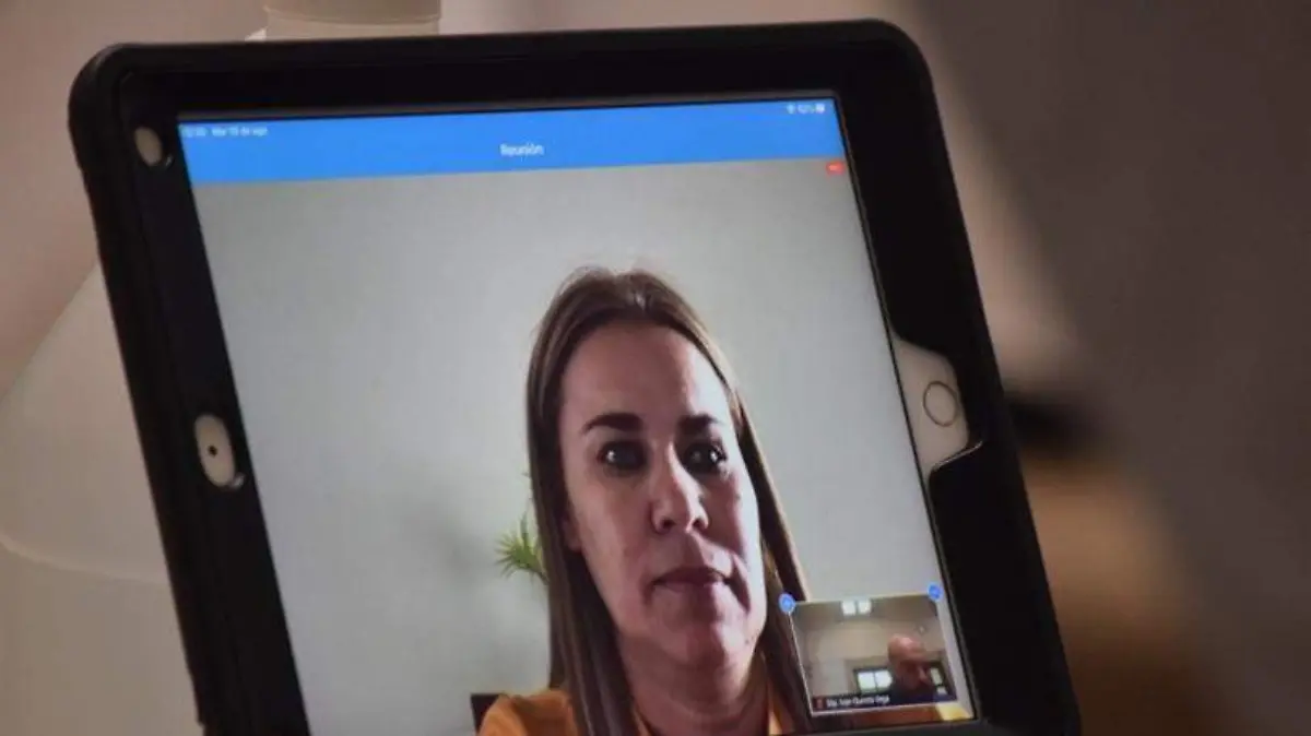 María Elena González Rivera, diputada local